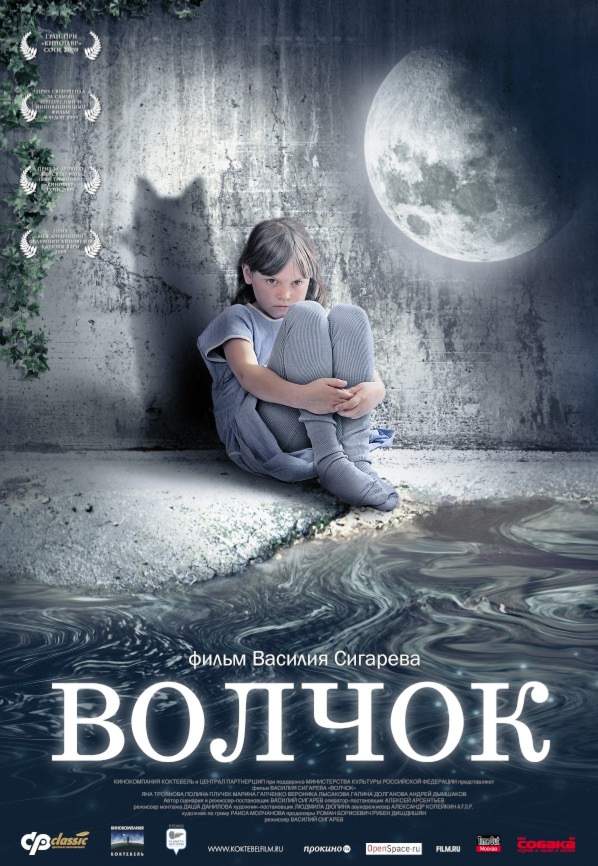смотреть онлайн Волчок (2009)