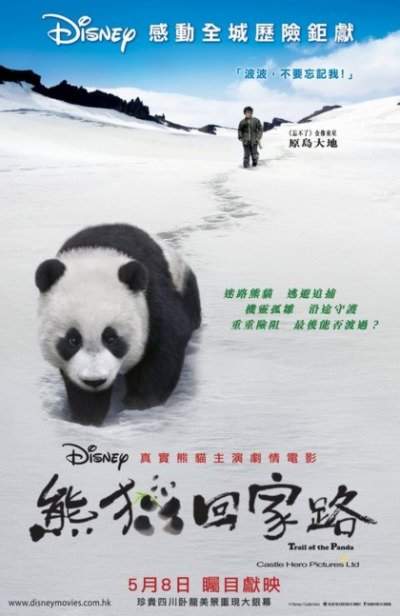 смотреть онлайн След панды (2009)