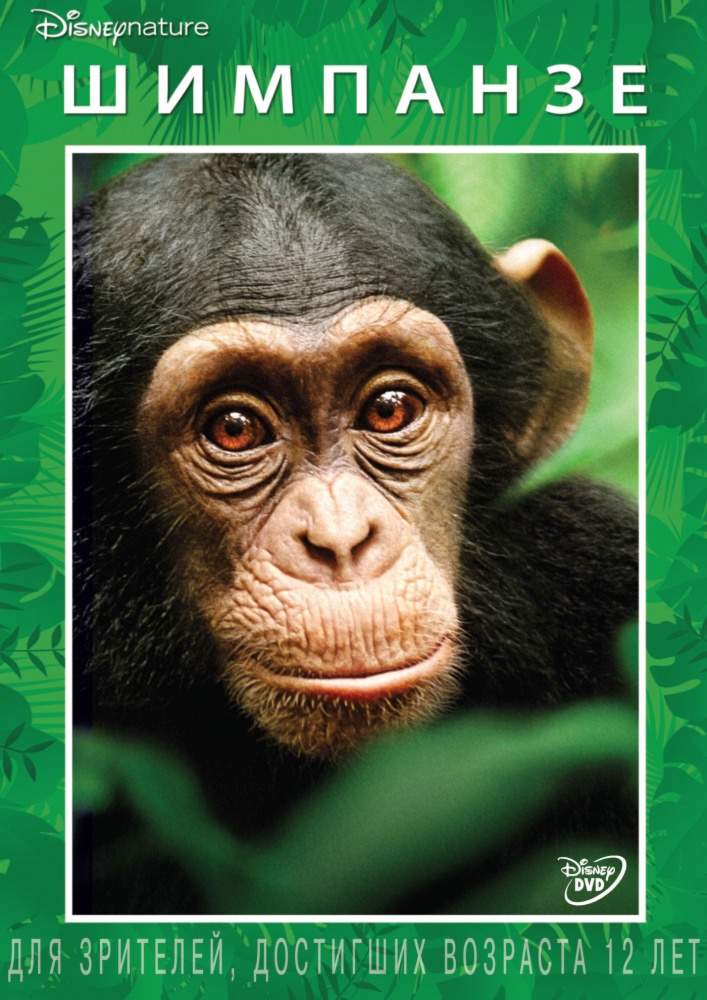 смотреть онлайн Шимпанзе (2012)